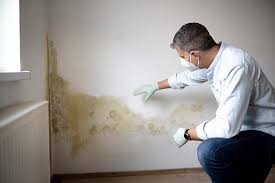 Best Biohazard Mold Removal  in Sparta, IL